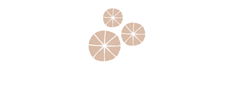 Logo brandinchi beach