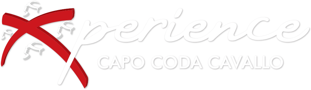 Xperience-logo-bianco